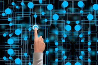 MILAN SPORTS-冬奥会遗产利用与社会价值实现研究，冬奥会遗产战略计划